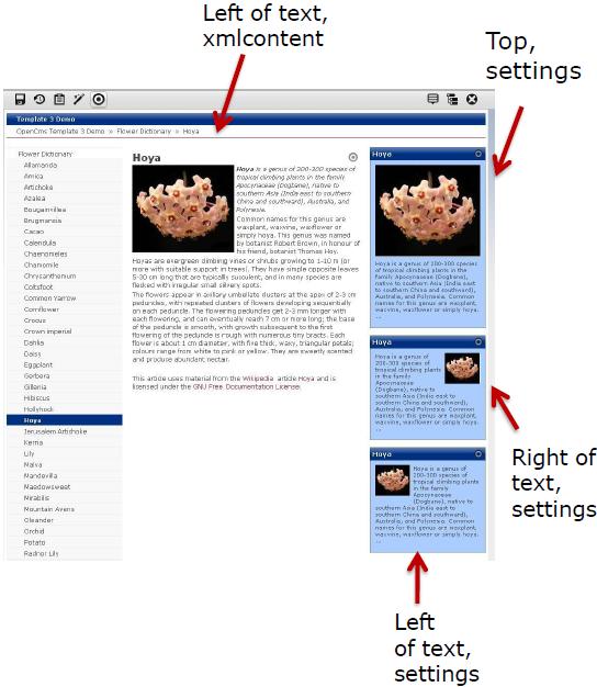 Template-modules-in-detail-article-image-alignment.JPG